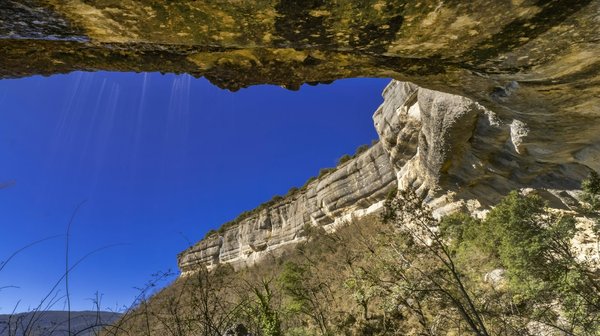 Quelles croisières permettent de visiter les îles de conservation de la faune dans l'océan Indien?