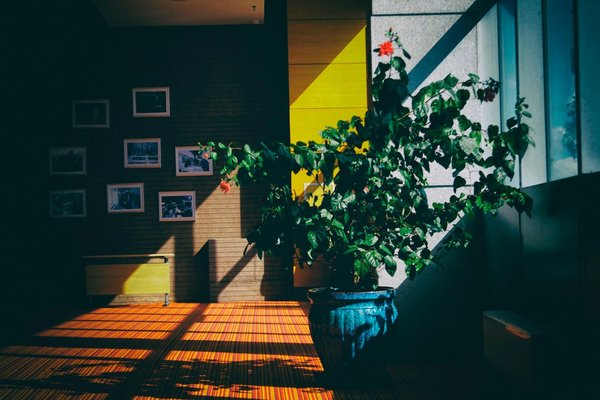 Quel jour de la semaine est le moins cher pour voyager en avion ?